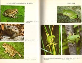 The care of reptiles and amphibians in captivity.