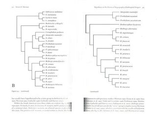 Ecology and evolution in the tropics: a herpetological perspective.