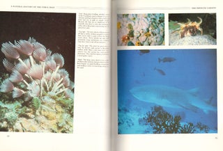 A natural history of the coral reef.