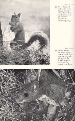 The handbook of British mammals.