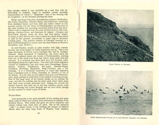 The birds of Pembrokeshire.