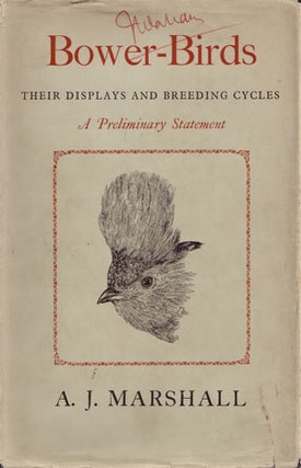 Stock ID 20006 Bower-birds: their displays and breeding cycles. A preliminary statement. A. J....