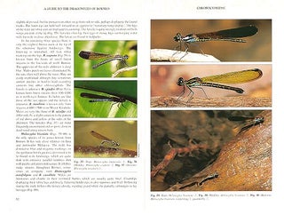 A guide to the dragonflies of Borneo: their identification and biology.