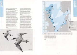 Vulnerable concentrations of birds in the North Sea.