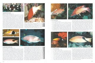 Reef and shore fishes of the South Pacific: New Caledonia to Tahiti and the Pitcairn Islands.