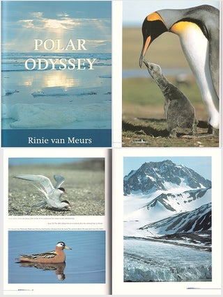 Polar odyssey.