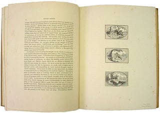 Notes by F. G. Stephens on a collection of drawings and woodcuts by Thomas Bewick, exhibited at the Fine Art Society's Rooms, 1880. Also a complete list of all works illustrated by Thomas and John Bewick, with their various editions.