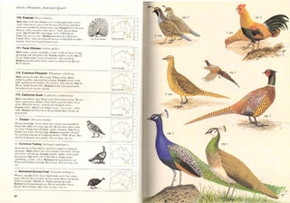 The birds of Australia, a book of identification: 758 birds in colour.