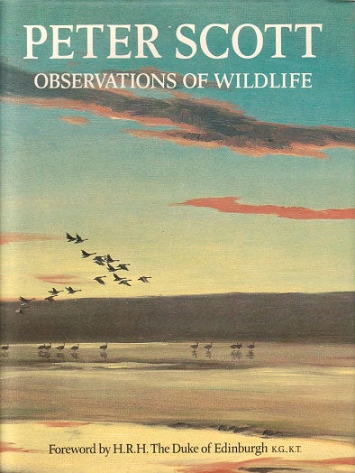 Stock ID 2067 Observations of wildlife. Peter Scott.