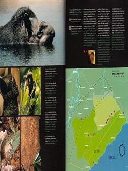 Stock ID 20721 Peru: Yavari. Nigel Pitman