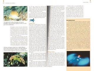 A guide to the coral reefs of the Caribbean.