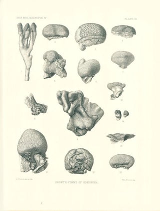 Catalogue of the Madreporian corals in the British Museum (Natural History).