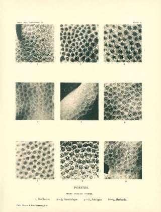 Catalogue of the Madreporian corals in the British Museum (Natural History).