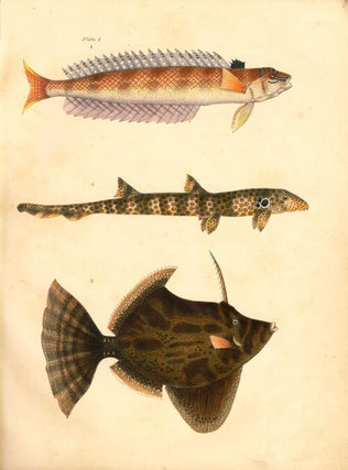 Icones piscium, or plates of rare fish.
