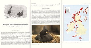 Seabird populations of Britain and Ireland.