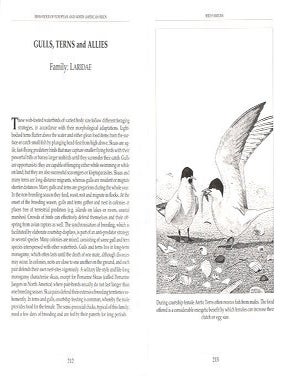 A birders' guide to the behaviour of European and North American birds.