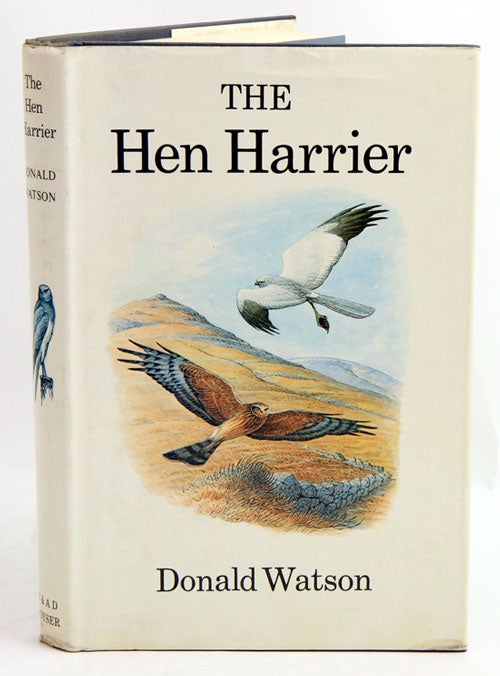 Stock ID 20888 The Hen Harrier. Donald Watson.