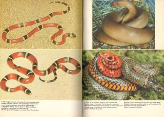 Snakes: a natural history.