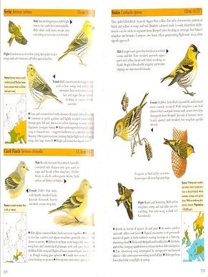 Pocket guide to the birds of Britain and north-west Europe