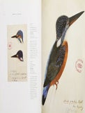 Birds: the art of ornithology.