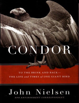 Stock ID 21248 Condor: to the brink and back: the life and times of one giant bird. John Nielsen.