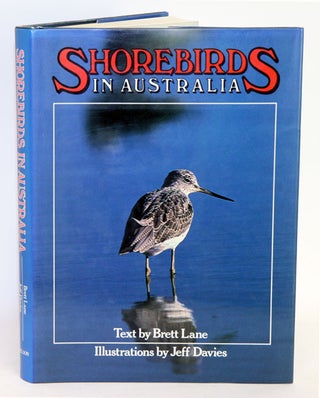 Stock ID 21255 Shorebirds in Australia. Brett A. Lane