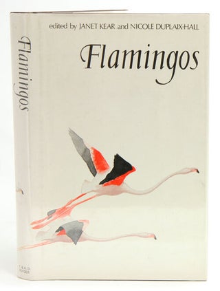 Stock ID 21274 Flamingos. Janet Kear, Nicole Duplaix-Hall