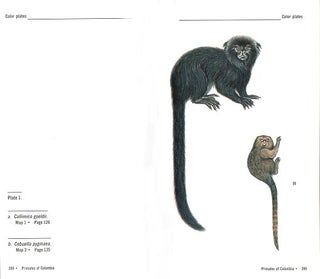 Primates of Colombia.