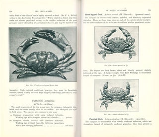 The crustaceans of South Australia.
