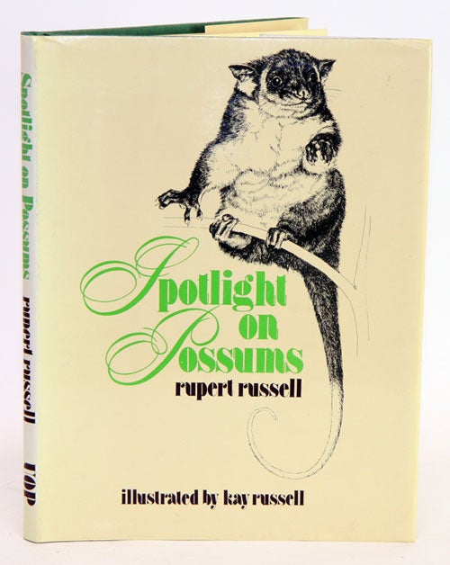 Stock ID 21375 Spotlight on possums. Rupert Russell.