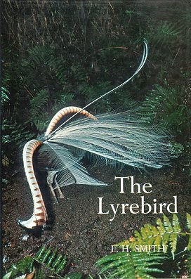 Stock ID 21391 The lyrebird. L. H. Smith