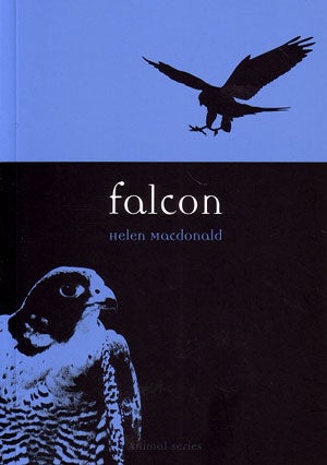 Stock ID 21462 Falcon. Helen Macdonald.