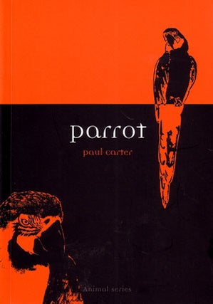 Stock ID 21464 Parrot. Paul Carter