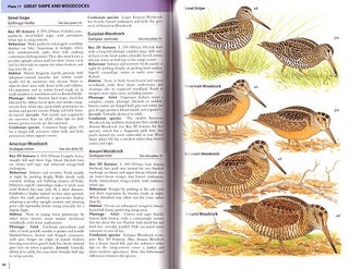 Field guide to the waders of Europe, Asia and North America.