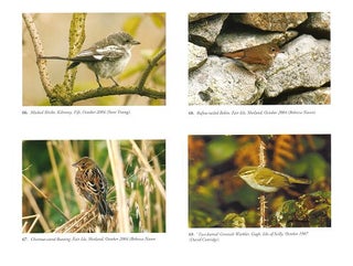 Birds new to Britain: 1980-2004.