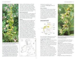 Orchids of Britain and Ireland: a field and site guide.