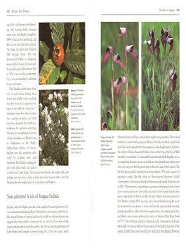 Britain's rare flowers.