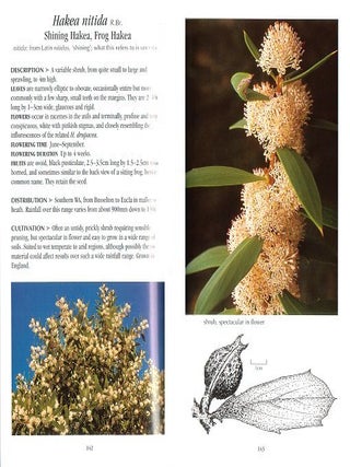 Hakeas: a field and garden guide.