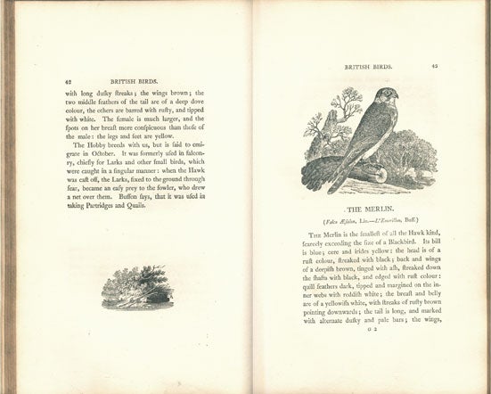 A history of British birds | Thomas Bewick | second edition