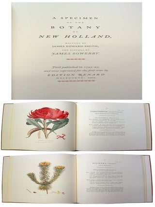 A Specimen of the Botany of New Holland.