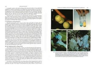Amphibian biology, volume six: endocrinology.