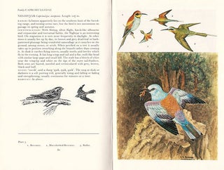 Birds of Lebanon and the Jordan area.