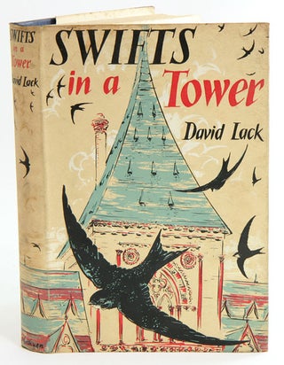 Stock ID 22136 Swifts in a tower. D. Lack