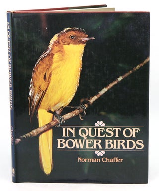 Stock ID 2302 In quest of bower birds. Norman Chaffer