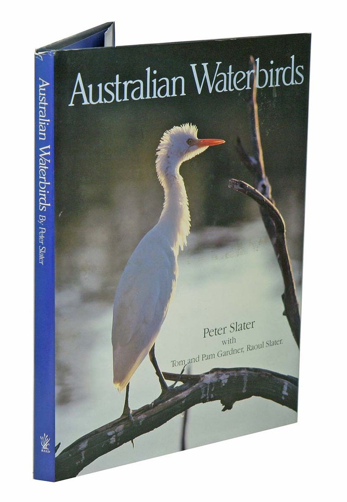 Stock ID 2331 Australian waterbirds. Peter Slater.