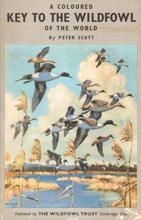 Stock ID 23531 A coloured key to the wildfowl of the world. Peter Scott.