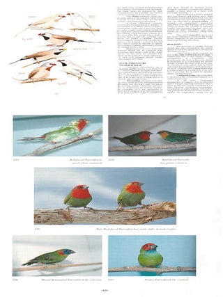 Keeping and breeding finches and seed-eaters.