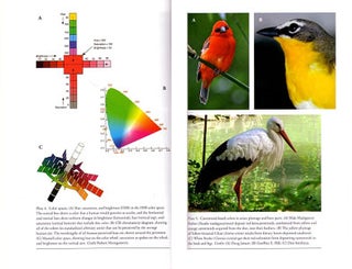 Bird coloration, volume one: mechanisms and measurements.