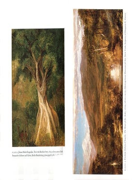 Tropical visions in an age of empire.