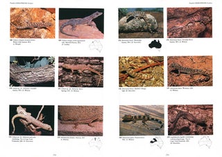 Australia's reptiles: a photographic reference to the terrestrial reptiles of Australia.
